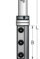 Фреза ТЕРМИНАТОР WPW FPM1922 копир сменные ножи 2 подшипник D19 B50 Z2 хвостовик 12