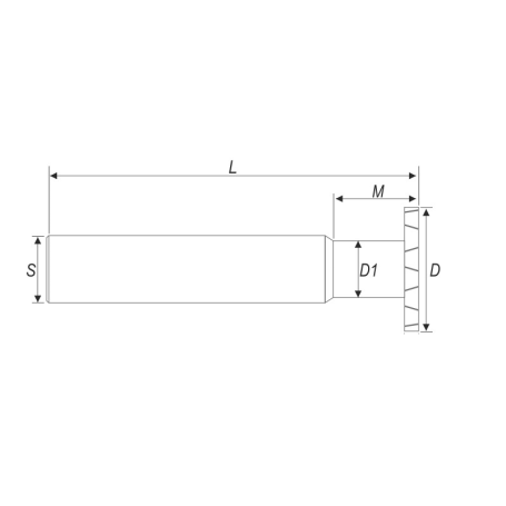 Фреза DJTOL HSSKX202.0 (L1-100 мм, L2-2 мм, D1-20 мм, D2-12 мм)