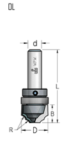 Фреза WPW DL42542 псевдофиленка два радиуса R4,5 D25,4 B16 с подшипником хвостовик 12